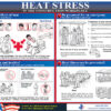Heat Stress Construction Poster - English