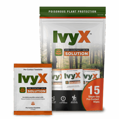 IvyX Pre Contact Cleanser Towelettes - 15 Bag - Certified Safety